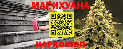 сатива Волгодонск